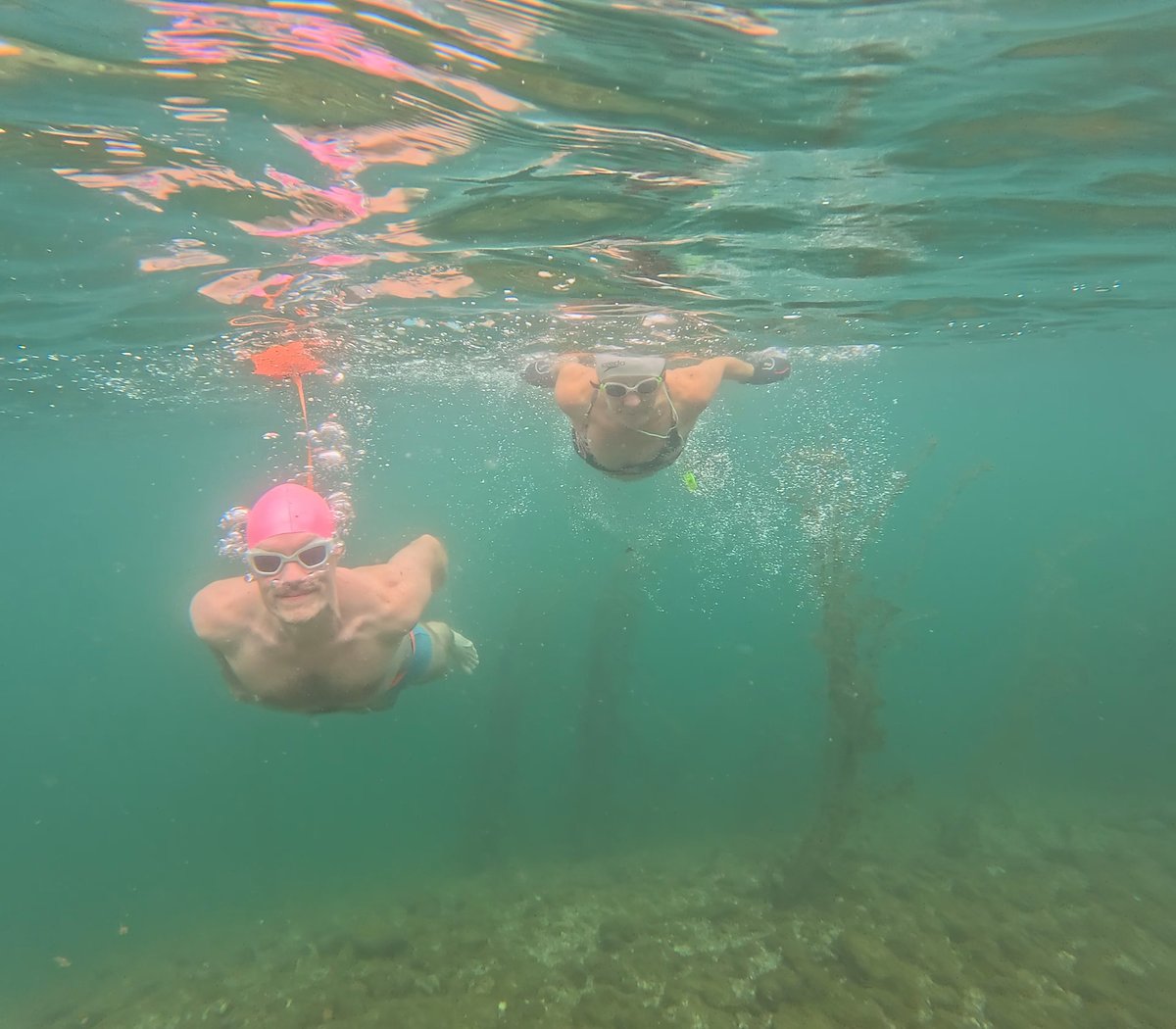 Perry Toone tweet media