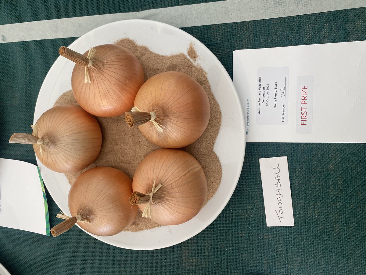 Medwyn Williams tweet media