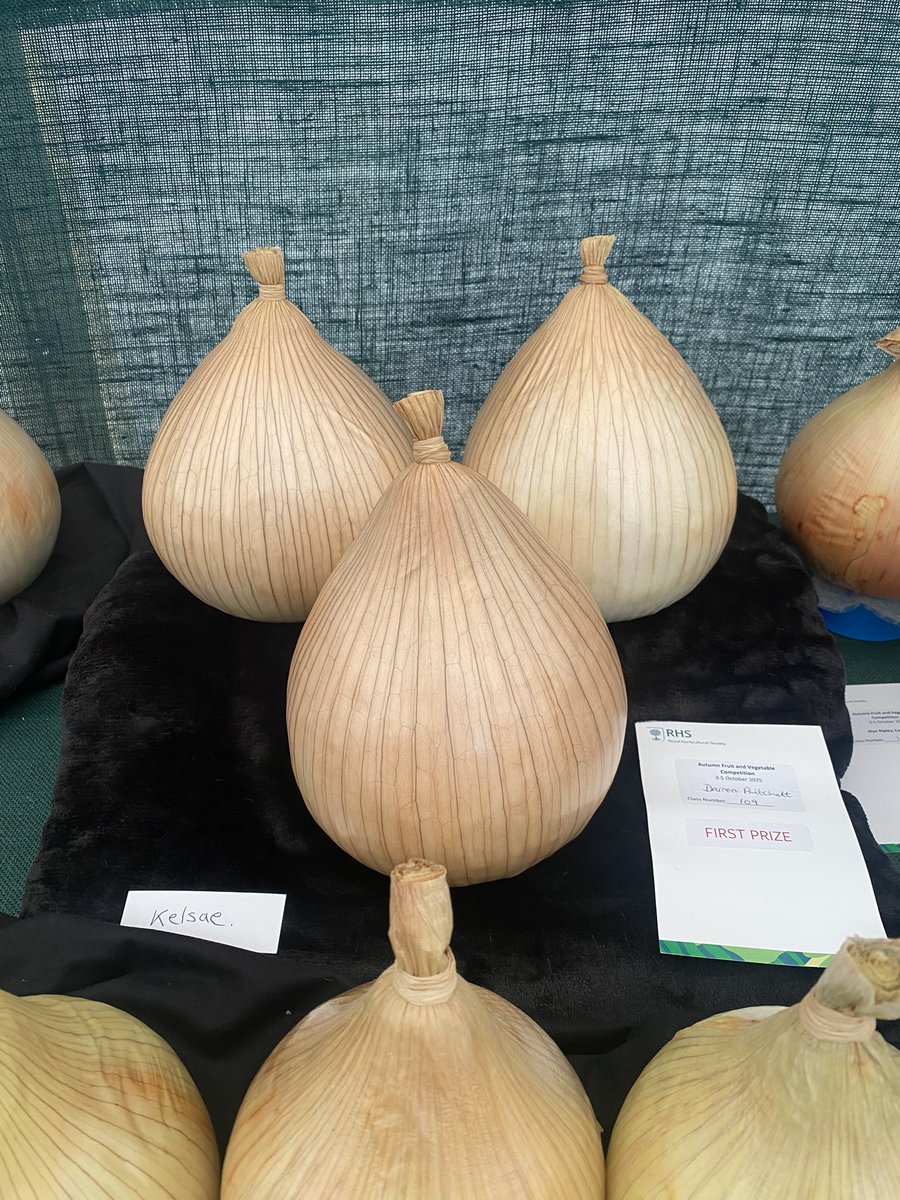 Medwyn Williams tweet media