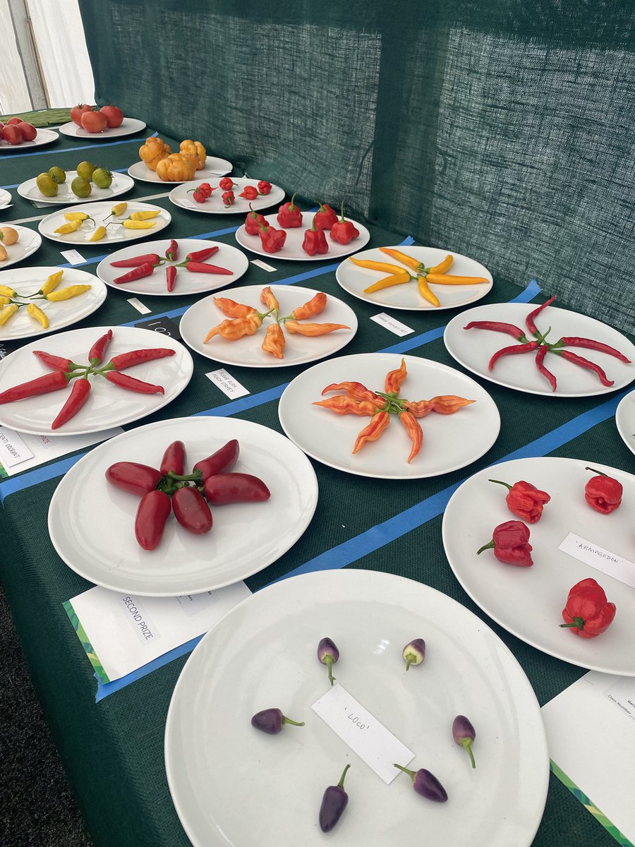 Medwyn Williams tweet media