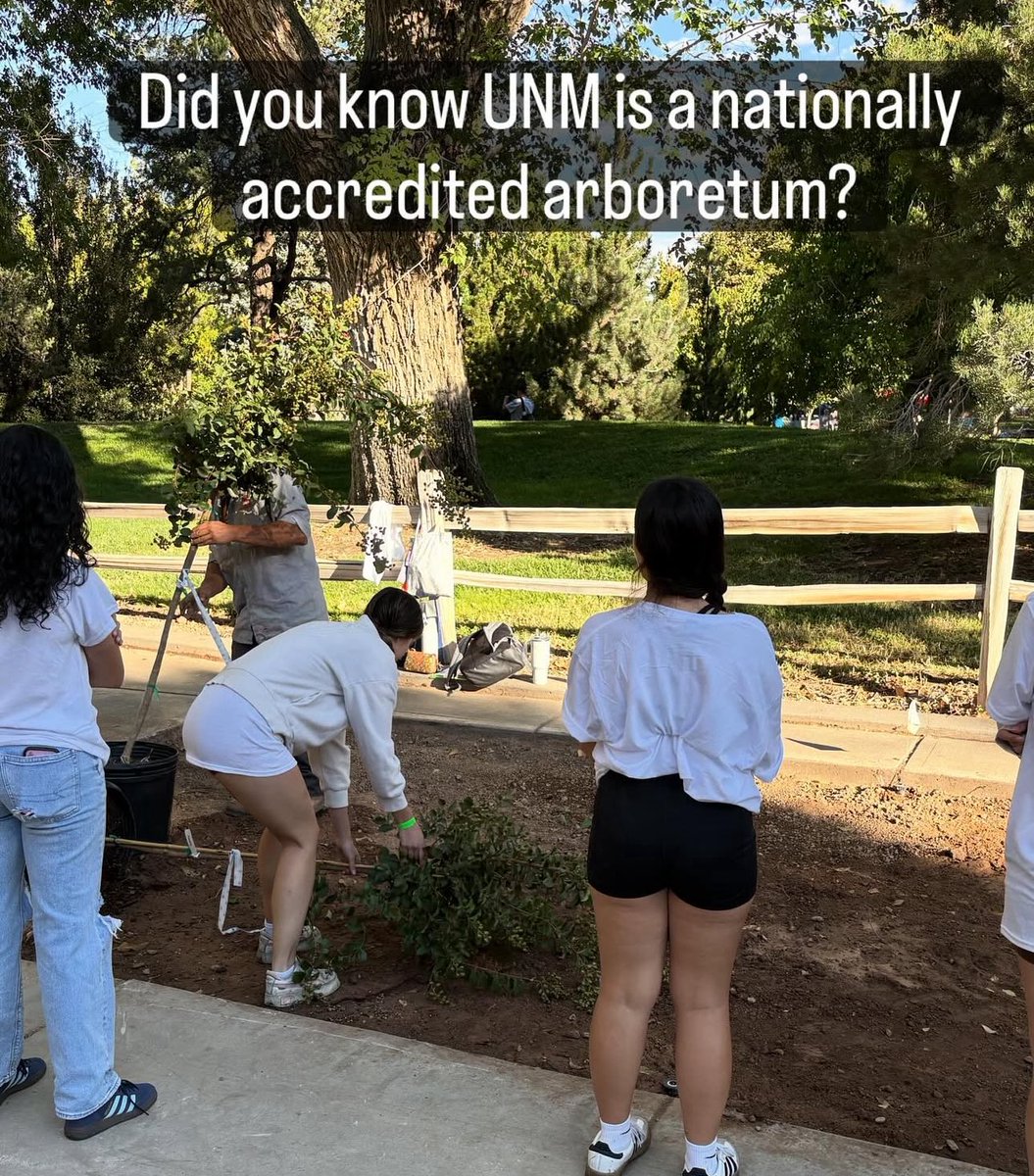 #FallFrenzy <a href="/UNM/">Univ. of New Mexico</a> <a href="/asunmlobos/">ASUNM</a> #treeplanting #campusarboretum <a href="/ArbNetorg/">ArbNet</a>