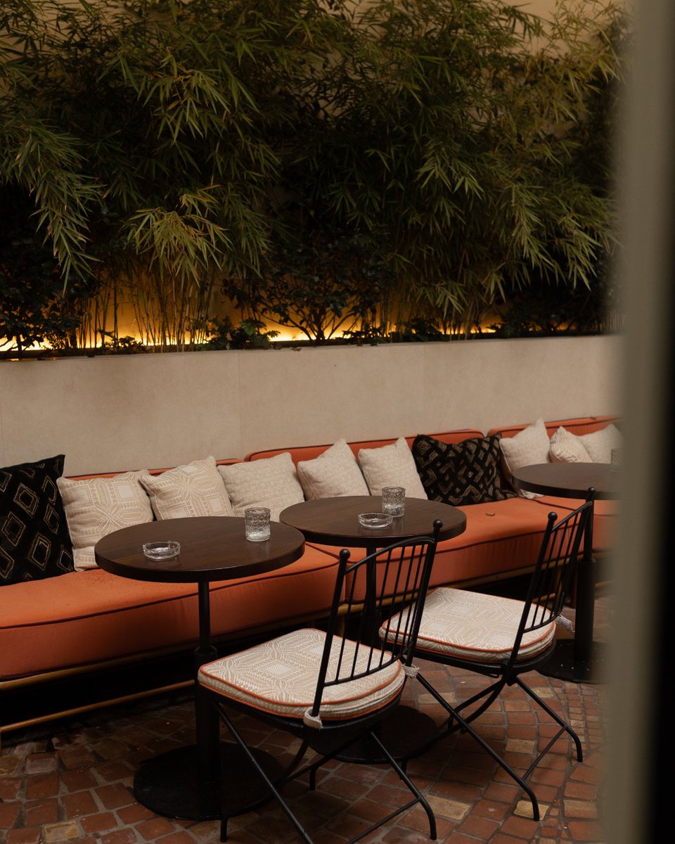 todobarro tweet media