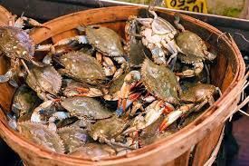 StephDavisSmith's tweet photo. Leadership isn’t easy when your mediocre self keeps pulling you down. 🦀

At #INKVegas, Bobby Wright reminded us: it’s “Crab Mentality”—others (and even yourself) tugging you back when you climb.

Excellence isn’t accidental. It’s deliberate.

Back off crabs—I’m climbing out. 🚀 https://t.co/iPIvuOVmt6