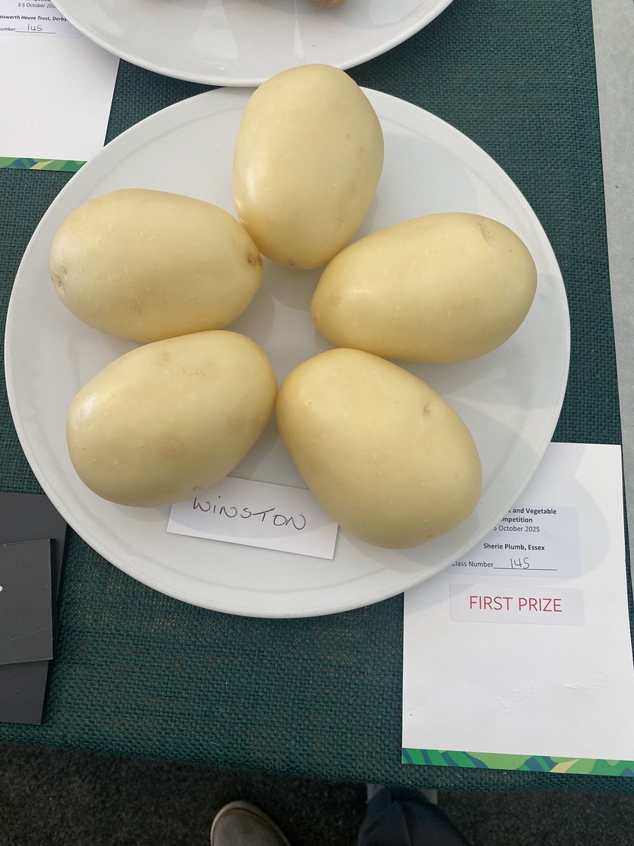 Medwyn Williams tweet media