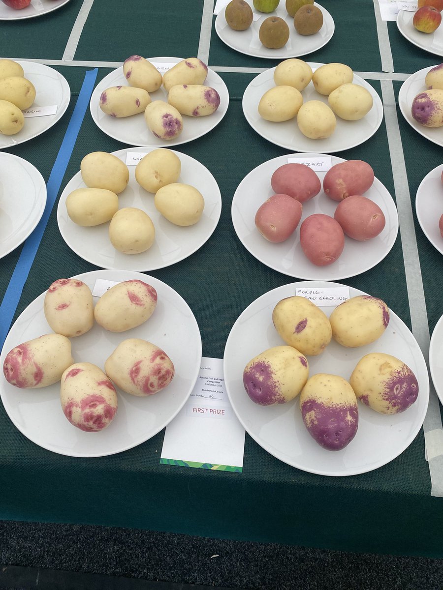 Medwyn Williams tweet media