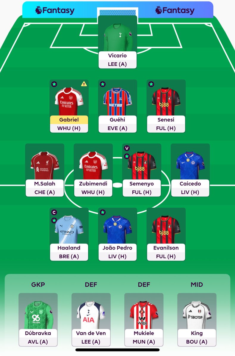 Here is my team. Good luck everyone!