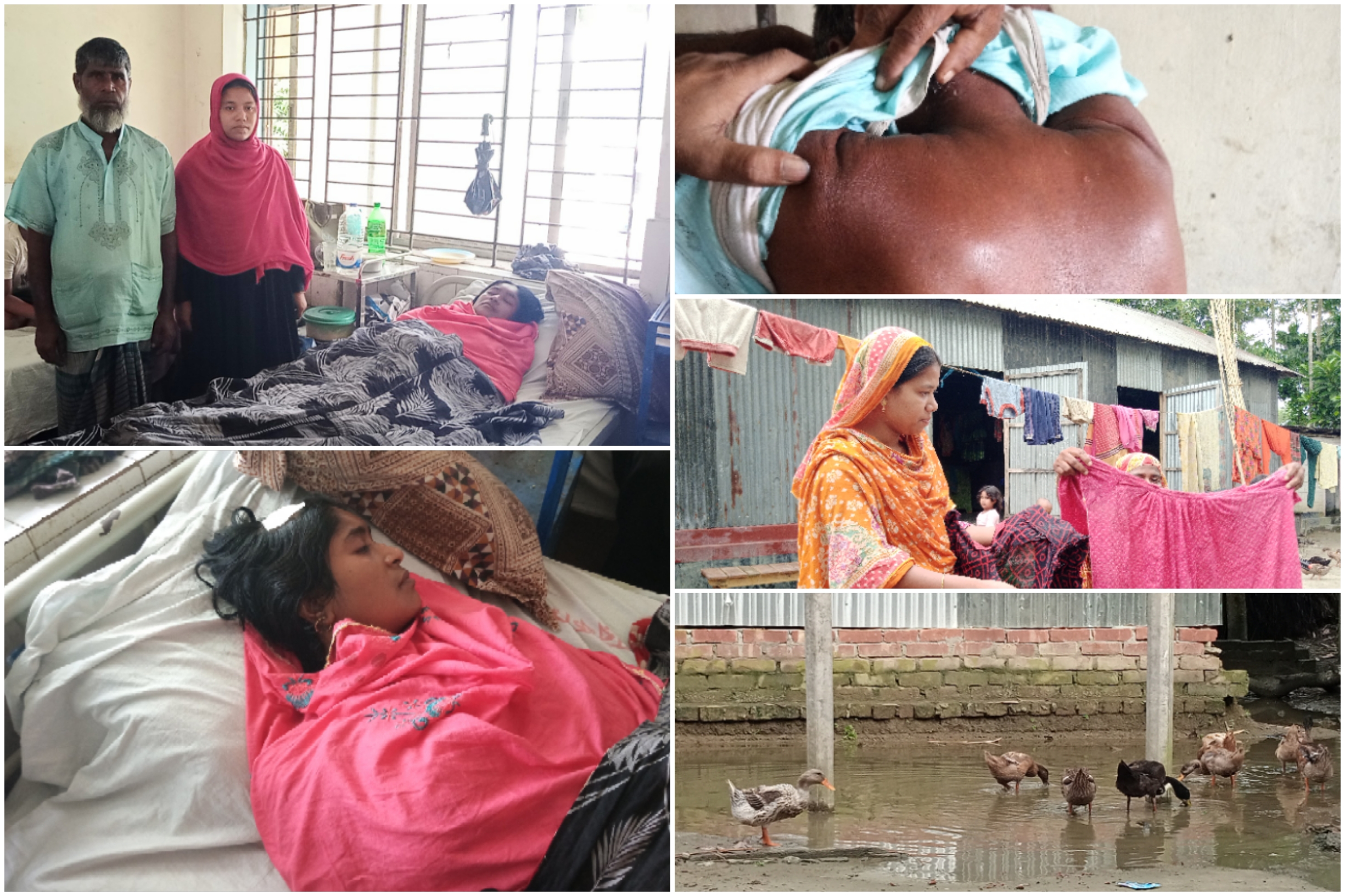 সরিষাবাড়ীতে অন্যের উঠানে হাঁস ঢুকে পড়ায় মারামারি, আহত-৫