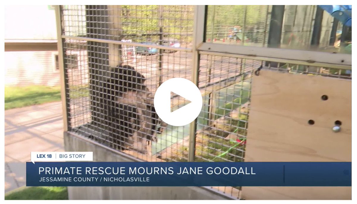 lex18.com/news/covering-…