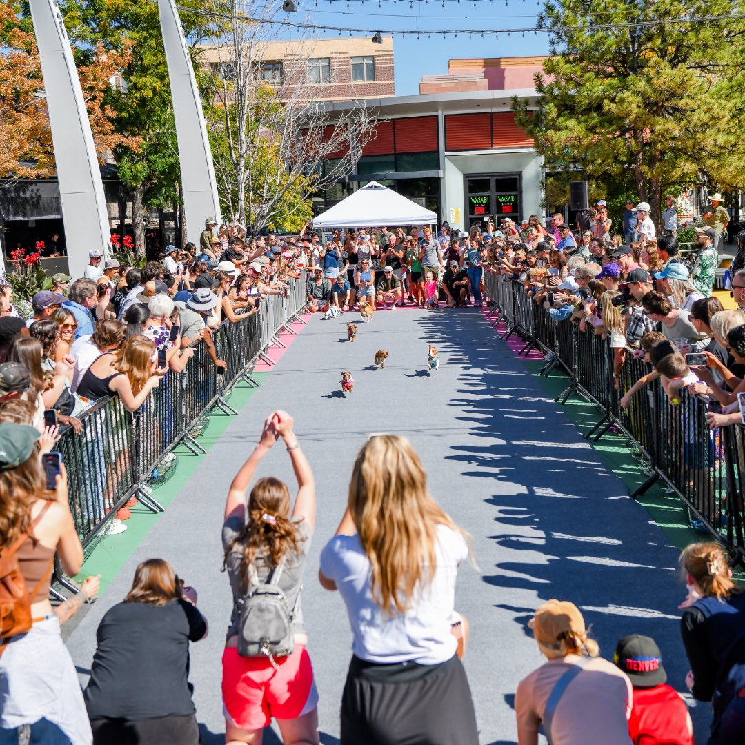 🐾 THANK YOU to everyone (and every pup 🐶) who came out for Barktember at Belmar! You made it paw-some. 💙
#Belmar #Barktember