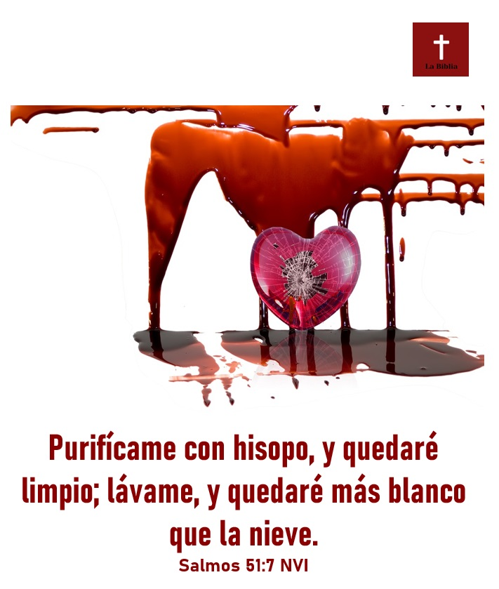 La_Biblia_Post's tweet photo. https://t.co/rCu8WEkBoK