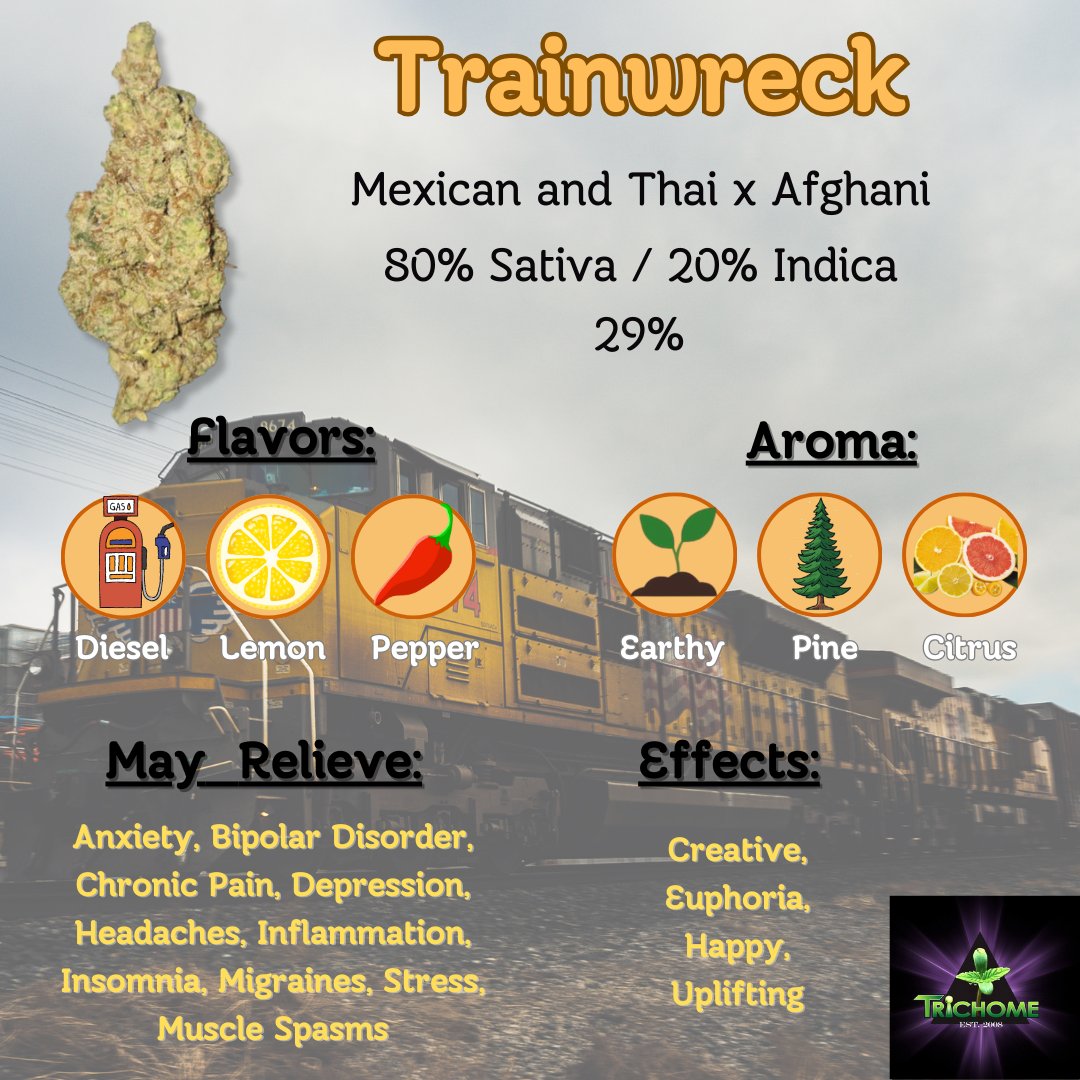 thcmed's tweet image. Trainwreck is a mind-bending, potent sativa with effects that hit like a freight train. Trainwreck begins its speedy hurtle through the mind with a surge of euphoria, awakening creativity and happiness. 
#trainwreck #sativa #topshelf #premier #thcmed #trichomehealthconsultants