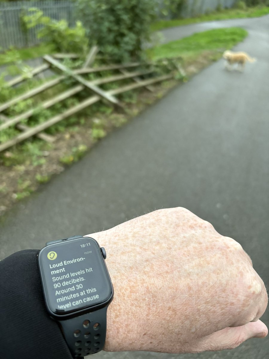 dpearsoncfc's tweet image. The dog walk today is so windy that the fence fell over and scared my watch