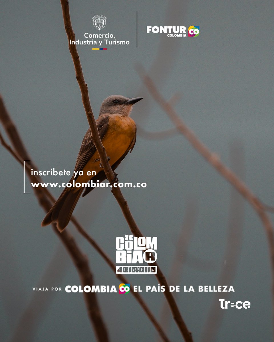 CanalTreceCO's tweet photo. ⏳Se acabó la espera
Hoy es el último día para decirle SÍ a la aventura de tu vida 🌄✨

Si tienes entre 18 y 60 años… esta es tu oportunidad de recorrer #Colombia, el País de la Belleza, y convertirte en Colombiajero 💛

📍 https://t.co/Qw6eFGiLF9
#Colombiar #ElPaísDeLaBelleza https://t.co/2D7QX7pKeq