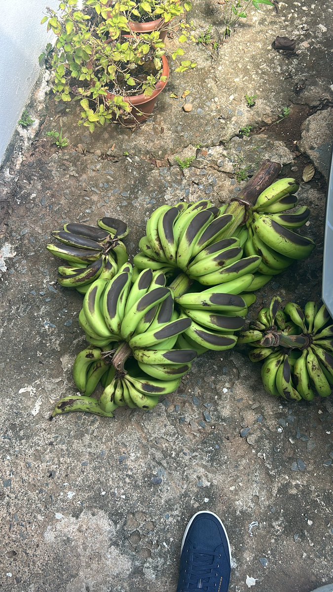 Esta caliente pa’lla?
Pues…