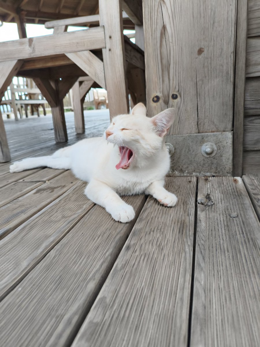 Sabahları işe giderken ben de böyle oluom