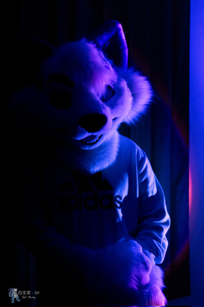 Caffeine 🔜 Megaplex tweet media