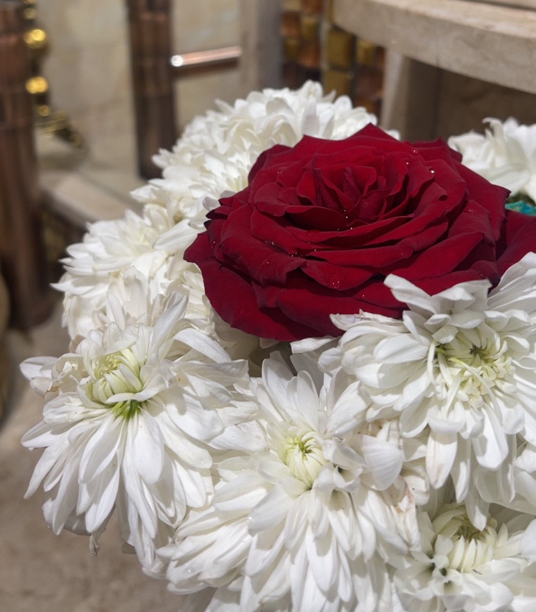 fnoo566's tweet photo. #اليوم_العالمي_للابتسامه

يقول - بدر عبدالمحسن - 
لو تشبهين الورد يبقى الاختلاف 
 الورد يذبل وانتِ دايم فاتنه❤️ https://t.co/VRuZDRa3er