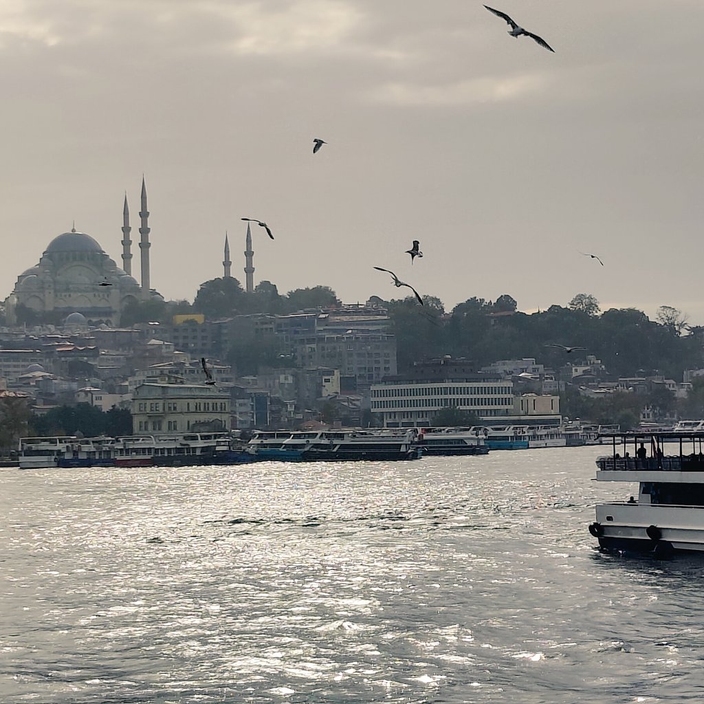 Çok güzelsin ama "Gonya'mız bir başka."