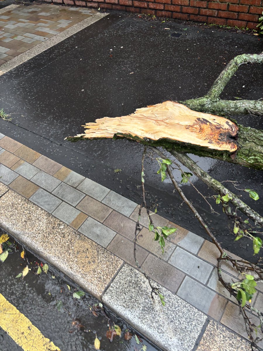 Cllr. Ruth Brooks tweet media