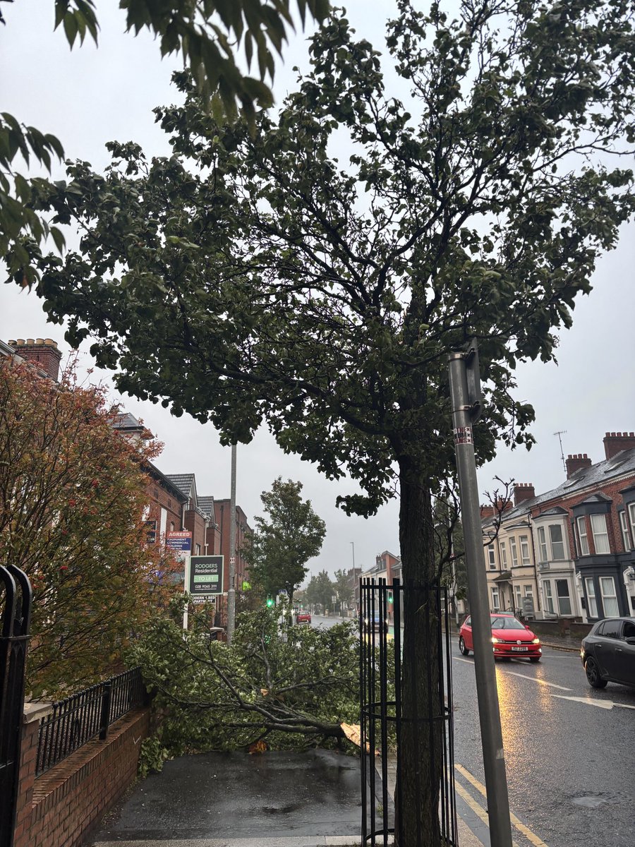 Cllr. Ruth Brooks tweet media