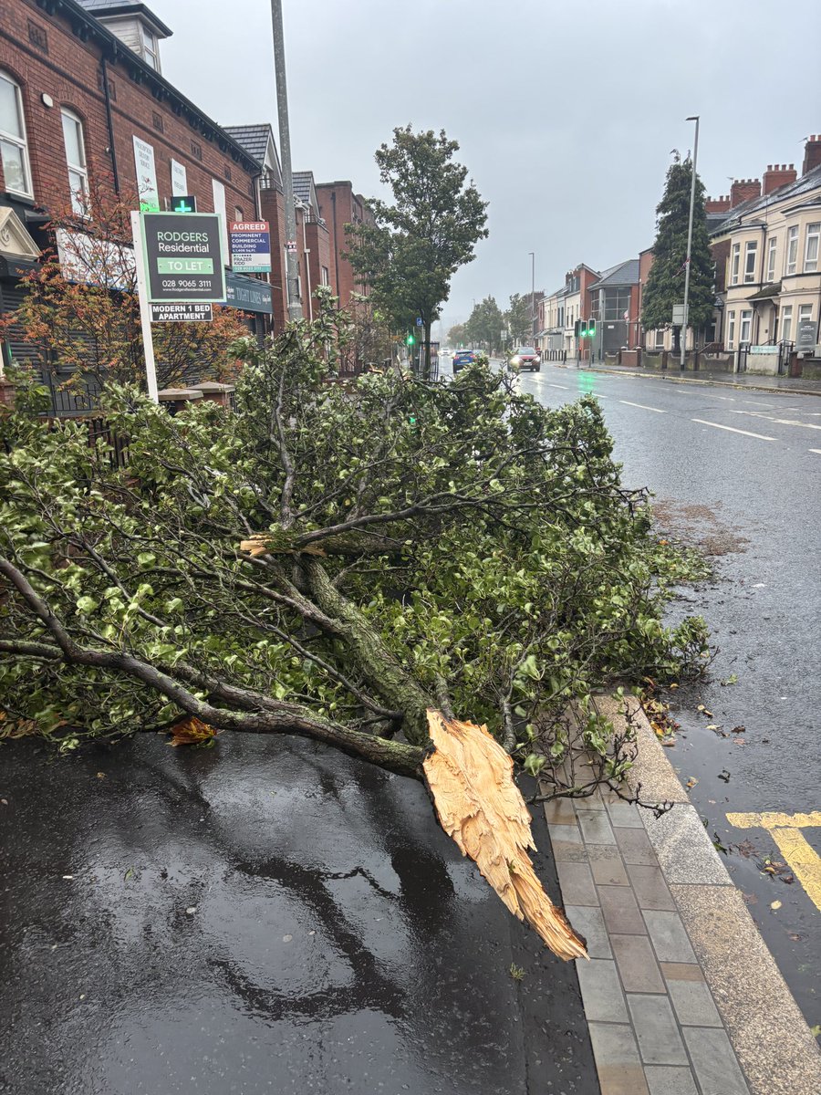 Cllr. Ruth Brooks tweet media