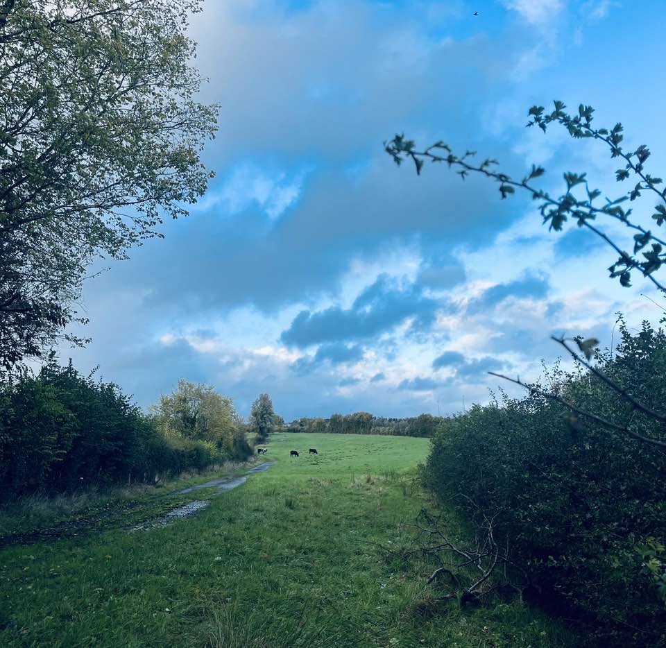The storm is still storming; I just arrived home and still have a roof and power: privileged ❤️ #Cavan #StormAmy