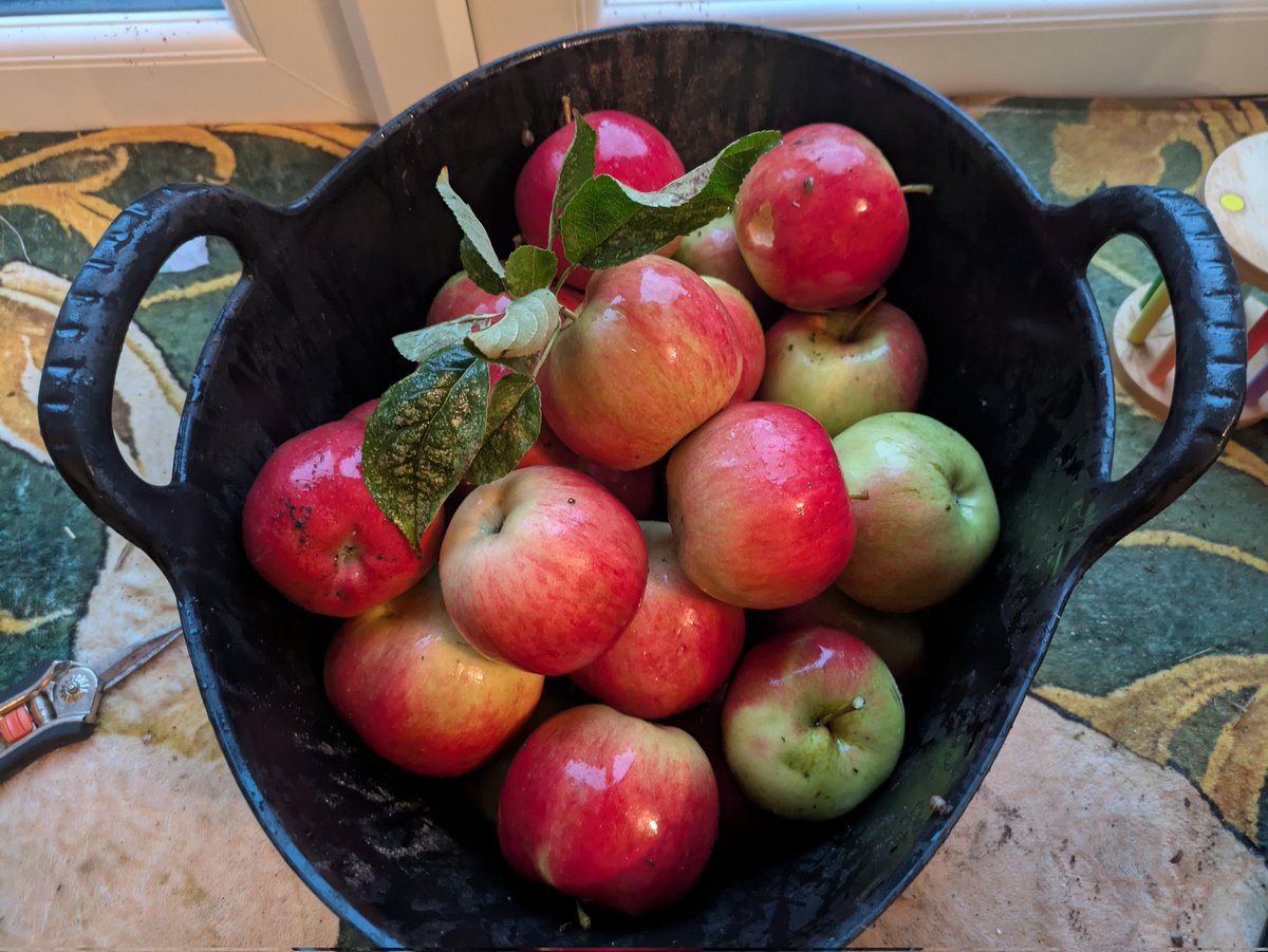 ArableEmily #formerlyknownasweeds tweet media