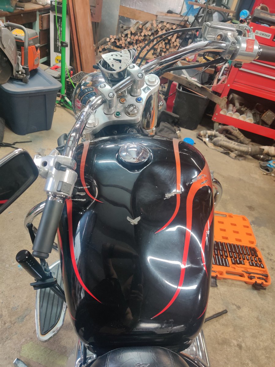 Lord Mustang VI tweet media