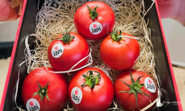 elAgroAutentico's tweet image. 🔝Sakata presenta #Japi , el #tomate que sabe hacerte feliz🍅🍅🍅🍅
agroautentico.com/2025/10/sakata…

@SakataIberica 
@HermanosTorres 

😋 #Umami en cada bocado!!! Sakata presenta en #FruitAttraction2025 su joya #gourmet 🍅🍅🍅