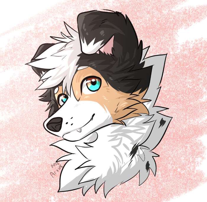 Elaxushi tweet media