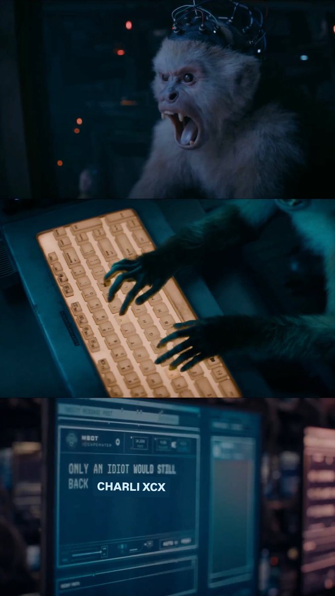 kingchilla (@__dy_yb__) on Twitter photo 