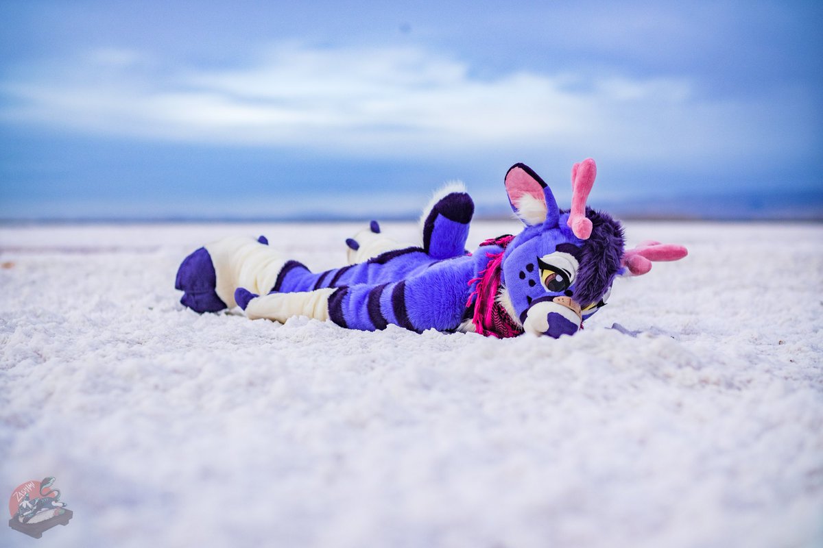 Bungee ๐ LVFC (@bungee_bucc) on Twitter photo Me still hella jetlagged
Pls come help ๐ฃ
๐ธ <a href="/WashiZashi/">Zashi Washi ๐ Furum</a>
๐ฆ๐ชก <a href="/WildcatCostumes/">Wildcat Costumes ๐ชก๐พ</a>
#FursuitFriday Me still hella jetlagged
Pls come help ๐ฃ
๐ธ <a href="/WashiZashi/">Zashi Washi ๐ Furum</a>
๐ฆ๐ชก <a href="/WildcatCostumes/">Wildcat Costumes ๐ชก๐พ</a>
#FursuitFriday