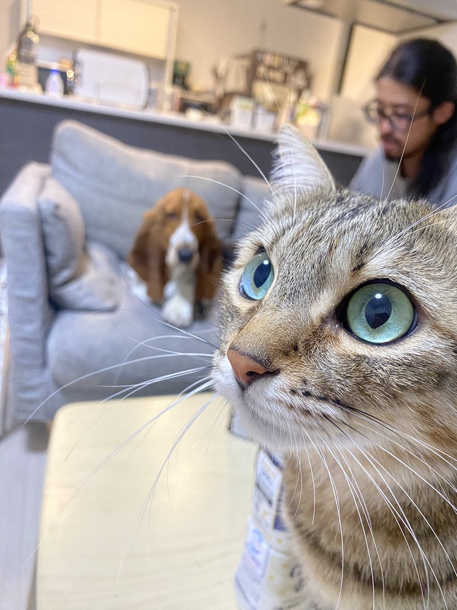 マロ♡ 送料無料】Marble Print Jersey High