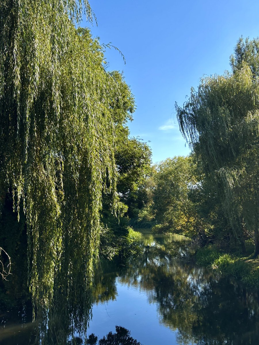 Today I walked 6 kilometres and enjoyed the sun🌞