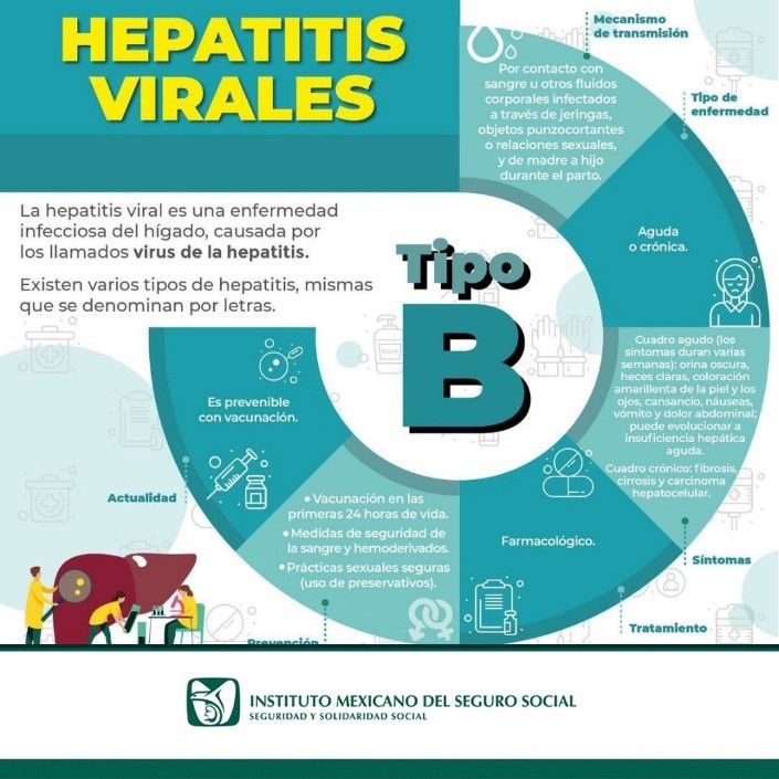 #HepatitisVirales   🦠
TIPO B: Se transmite al tener contacto con sangre u otros fluidos contaminados, es   una enfermedad de tipo Agudo o Crónica.
Algunos   de sus síntomas son:
-Orina oscura, heces claras, coloración de piel y ojos.
Actualmente es prevenible por vacunación.