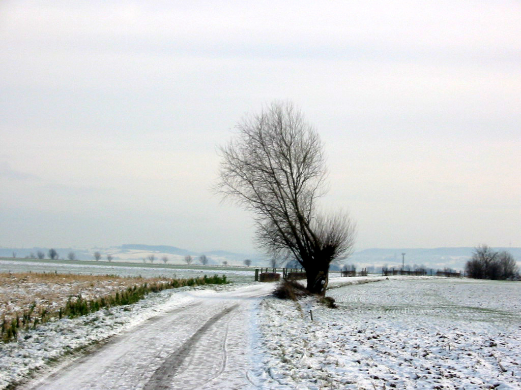 runinfo_nl's tweet photo. Lekker hardlopen in de herfst en winter kan natuurlijk prima: https://t.co/TFn0MQuNqr https://t.co/Y8v4zfXjFJ