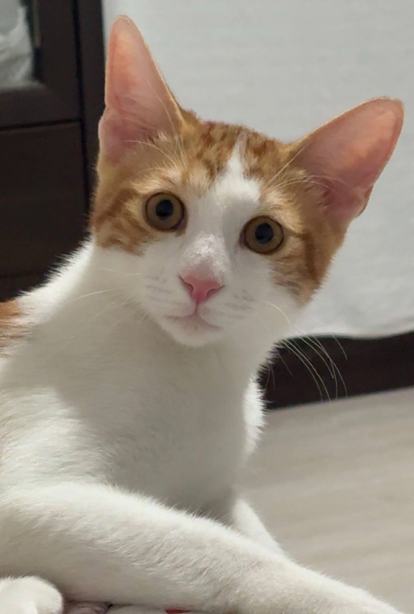 a³ (@akupsays) on Twitter photo 