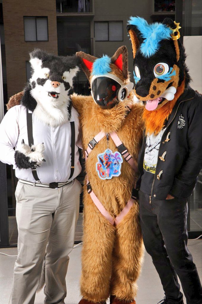 Happy #FursuitFriday 
With <a href="/ChrissToboe64/">Wolfdog Toboe</a> &amp; <a href="/WildDobberAD/">wilddobbydog_AD</a> 🍻