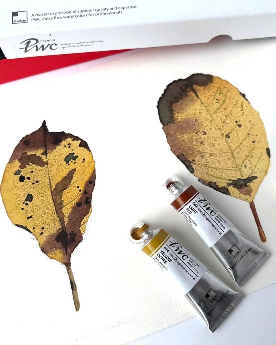 🍂 Autumn vibes with PWC Extra Fine Watercolors!

Looking for a perfect Fall palette? 

Artist Denise Crolleterzaghi picked:
#663 LIGHT RED, #674 YELLOW OCHRE
#680 VANDYKE BROWN 2.

Our 104 colors let you create cozy, rich autumn scenes.

#ShinHanArt #watercolorillustration