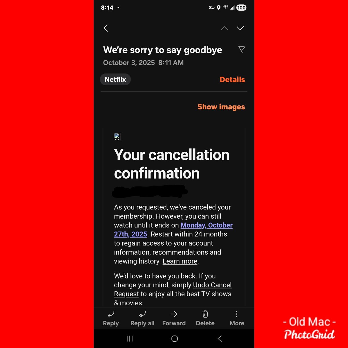 MsMac tweet media