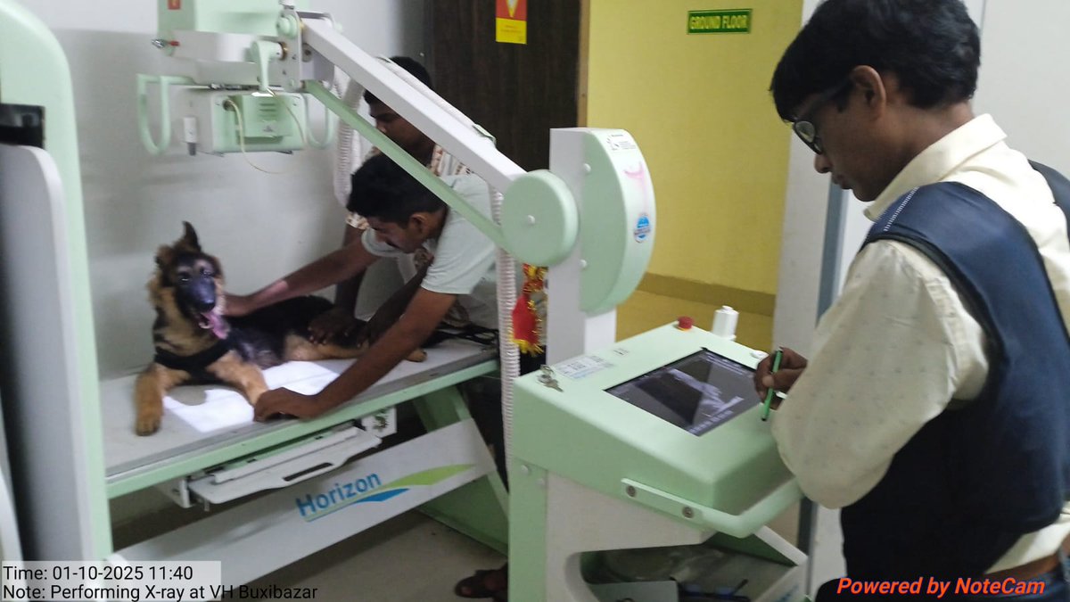 ODISHA VETERINARY SERVICE ASSOSCIATION tweet media