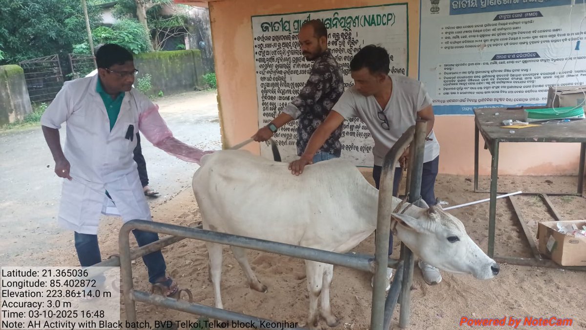 ODISHA VETERINARY SERVICE ASSOSCIATION tweet media