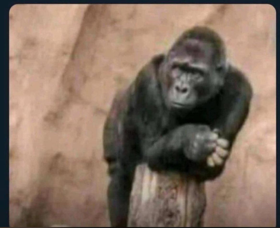 Reagan975's tweet photo. Me looking at people who had lunch calling me to go the bar with them🤌 https://t.co/Oi6rDiaIPI