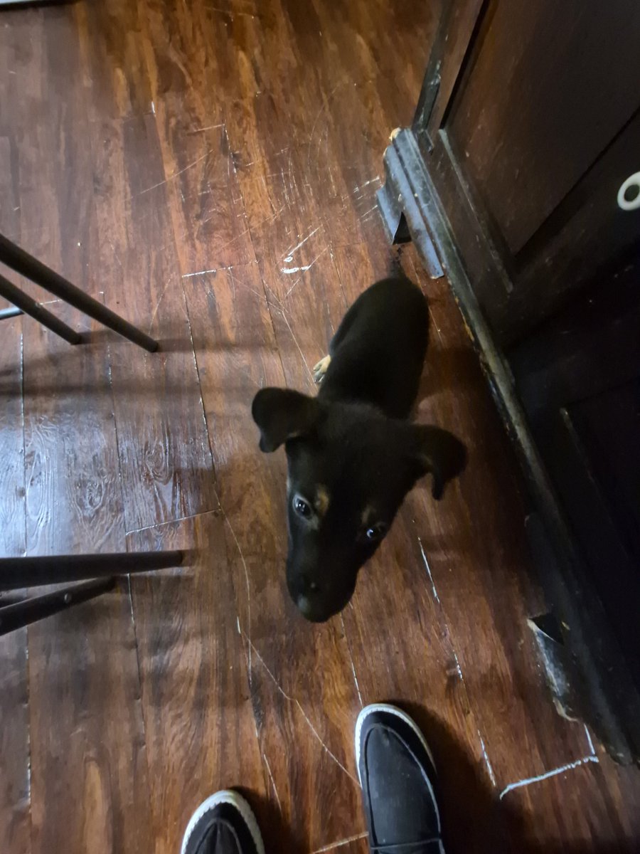 💞Tracy McElligott💞🇺🇸 GEN X (@gamez_trac6837) on Twitter photo 