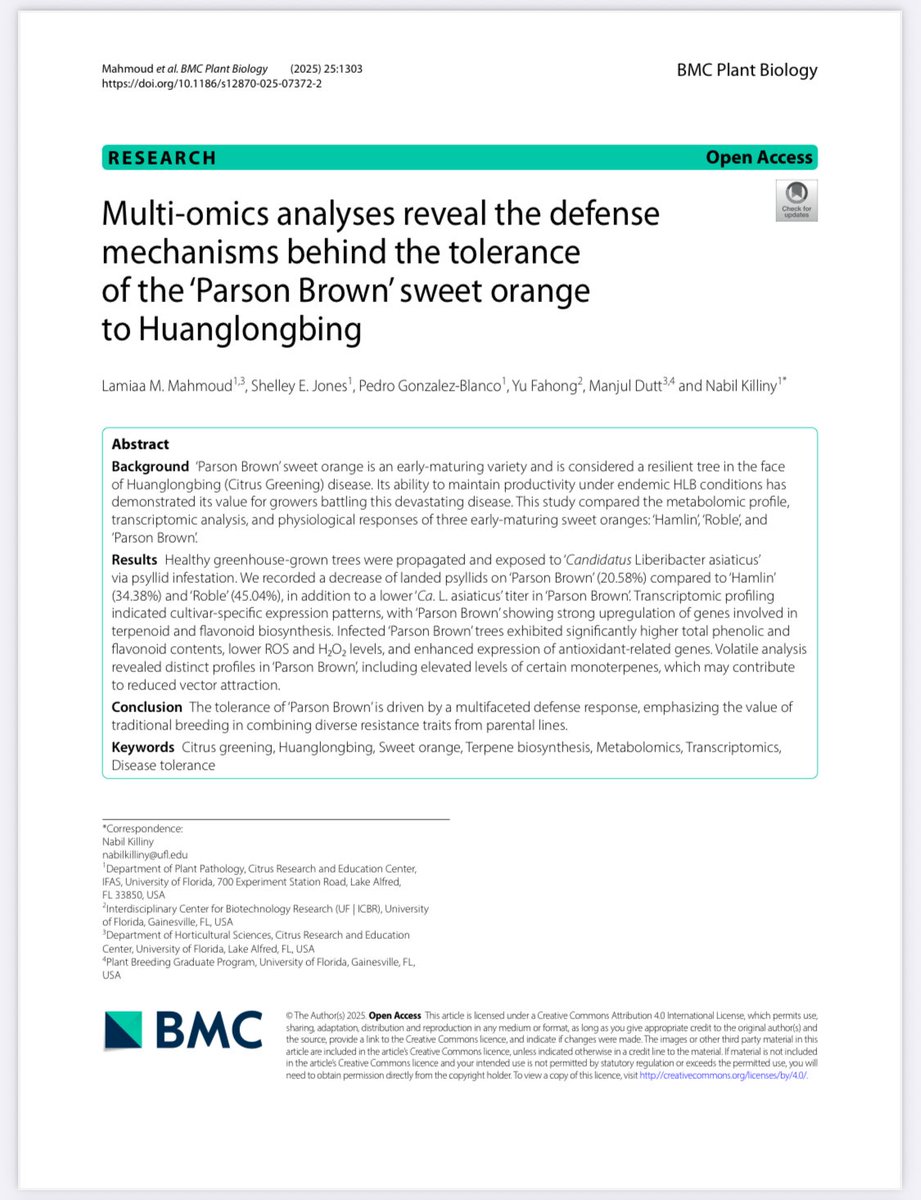 New paper out! 🧬🍊
‘Parson Brown’ orange fights Huanglongbing through powerful defense mechanisms.

link.springer.com/content/pdf/10…
