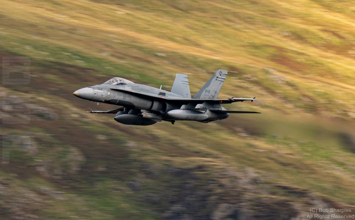 Bob Sharples tweet media