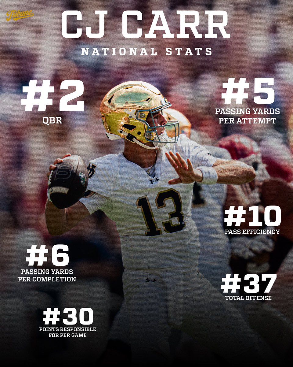 The Irish Tribune tweet media