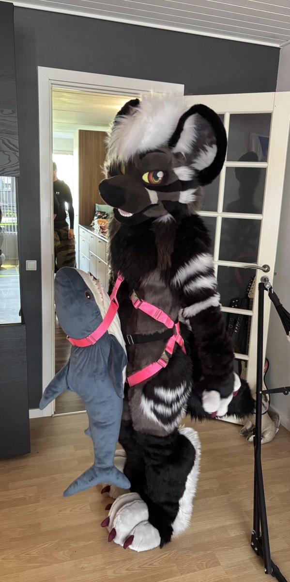 Today is bring your Blåhaj to work day! 🦈

#fursuitfriday