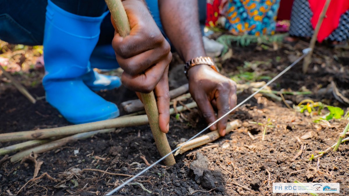 PdehRdc's tweet photo. De la théorie à la pratique🌱
Le 2 octobre, nos participants ont pratiqué la confection des germoirs pour les cultures (chou🥬, tomate🍅, aubergine🍆) et découvert des techniques de protection et d'enrichissement du sol avec des engrais locaux.
#InvestInHumanity #Secal #FHRDC https://t.co/zKxNSUyR8q