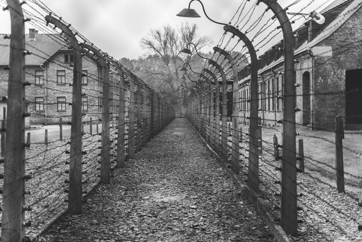 CzTuristico's tweet photo. Concentration camp of Sachsenhausen : A Journey Through History

The concentration camps are truly a trace of the dark history of World War II. In our private tours, we will guide you through these camps and tell you the historical stories. 

Website: https://t.co/YBTaSEgSwI https://t.co/fXPkvlfEgI